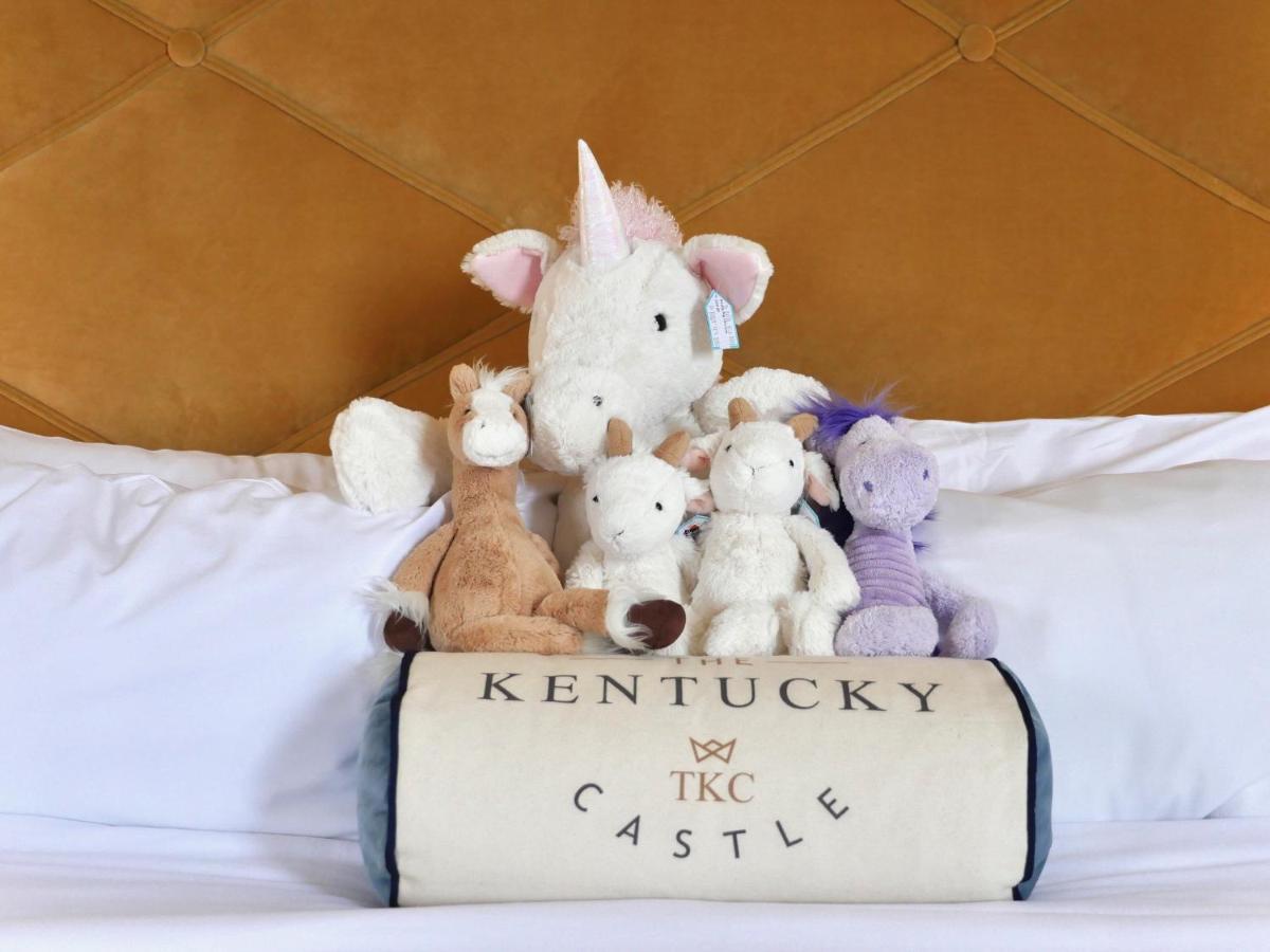 Kentucky Castle 호텔 베르사유 외부 사진